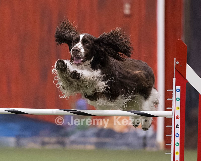 Mica Freese