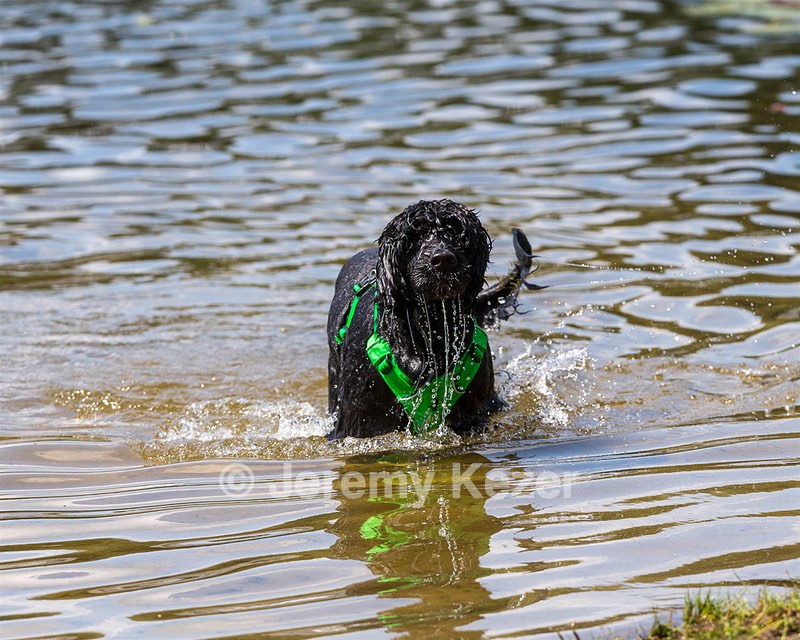 Addie
