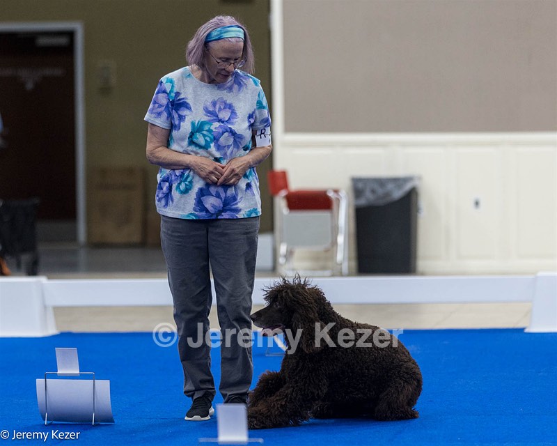 R26 - CH CUBOGLACH ROSY MAPLE RAE CAA BCAT SWME RATS DJ DN CGC TKN FTN