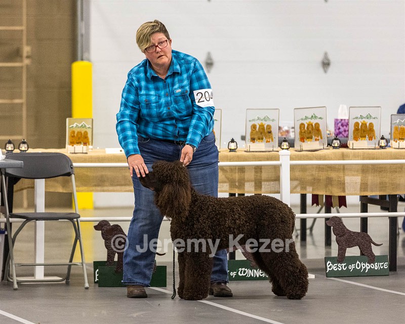 204 - CH Brekkon’s Brown Eyed Girl At Flintcrest DJ CGC TKN FTI