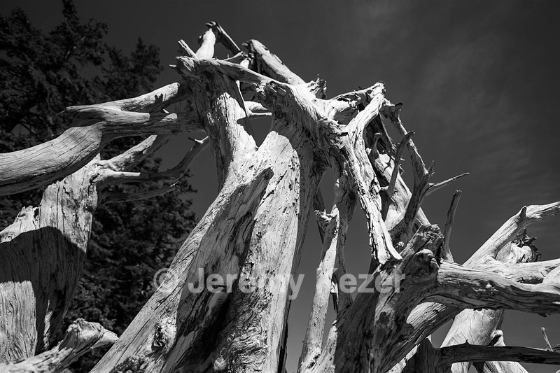 20180708-1057.jpg
