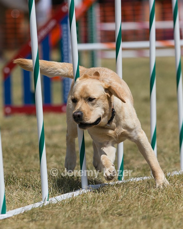 20150614-CCKC-1725.jpg