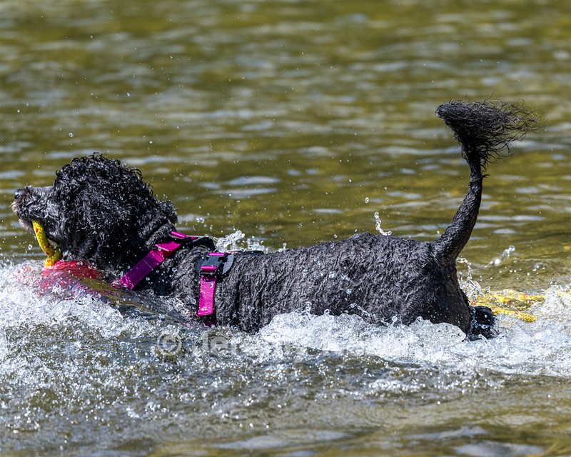 Tango Abbruzzese