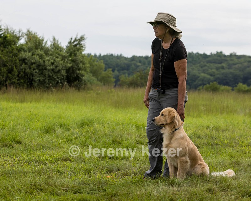 Meadow