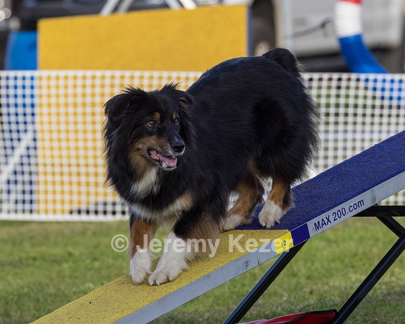 20230916-PVKC-1736.jpg