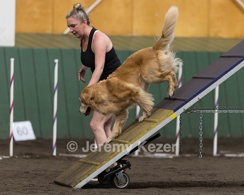 Callie Conroy