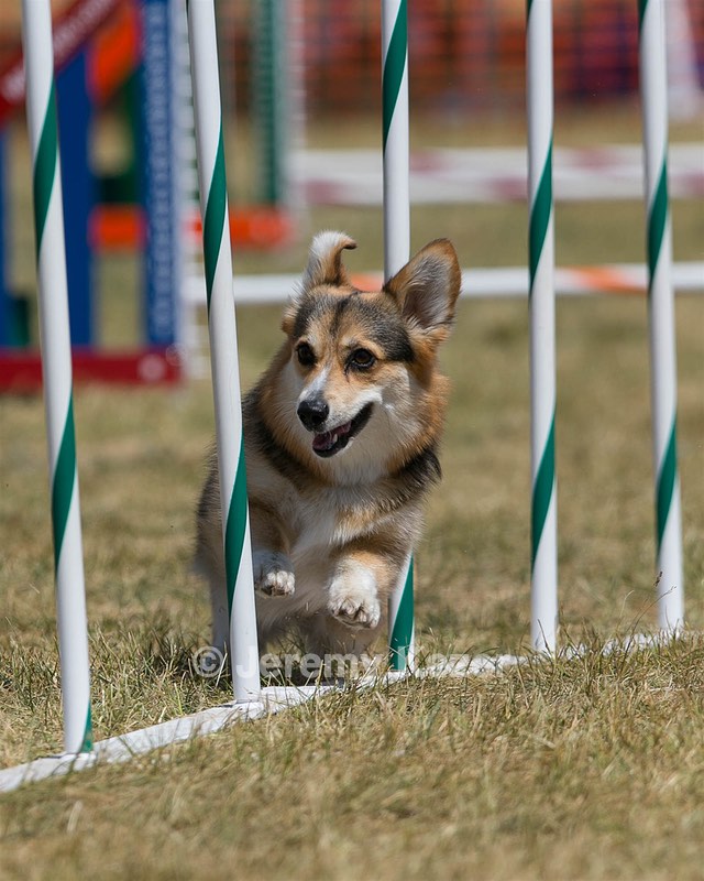 20150614-CCKC-1839.jpg