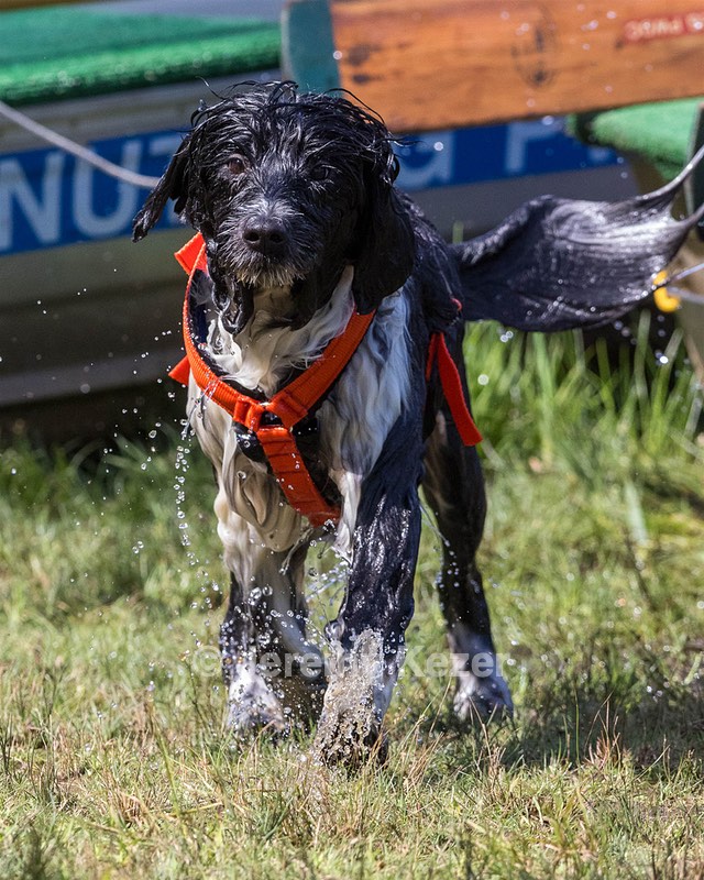 Bindi