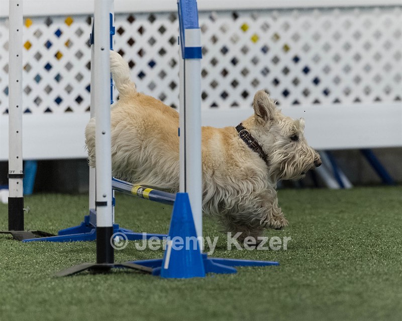 Monty Krapf