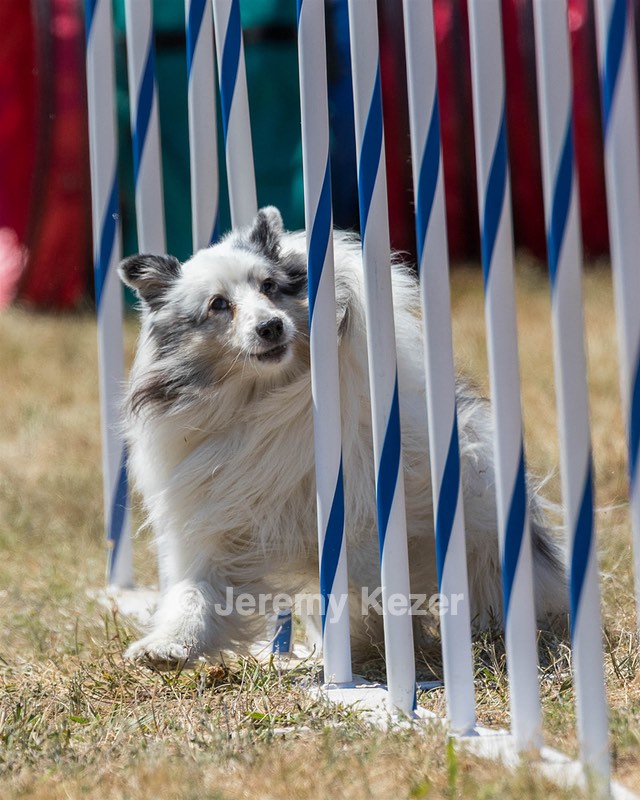 20160618-CCKC-1948.jpg
