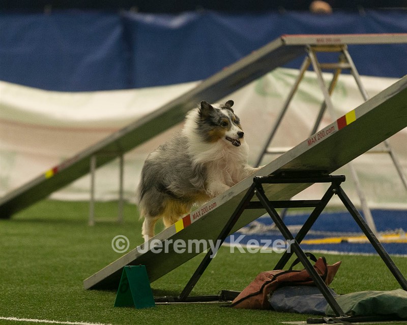 20150321-LEAP-1333.jpg
