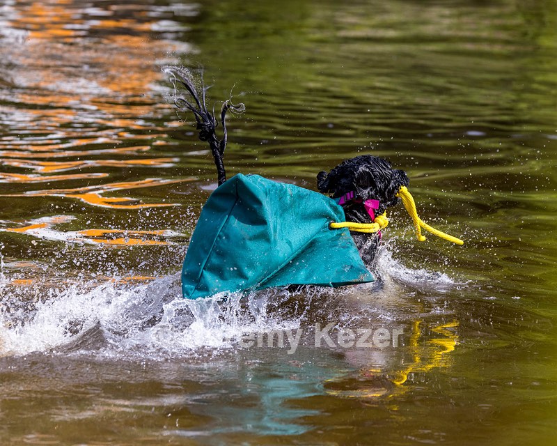 Rory Cox
