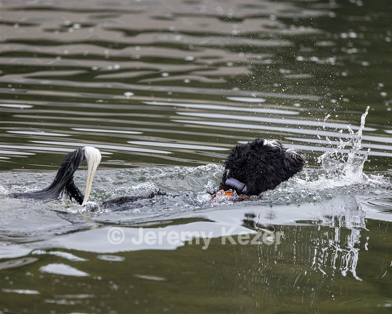 Molly wth Emerson Dahmer