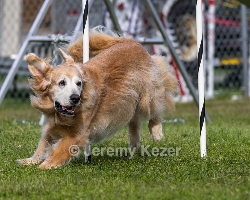 20230917-PVKC-2825.jpg