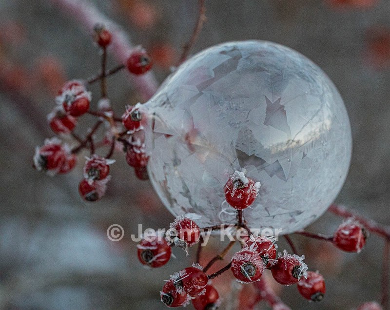 Frozen Soap Bubbles