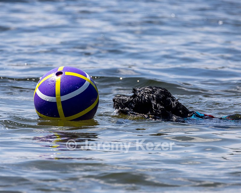 Sedona O'Brien