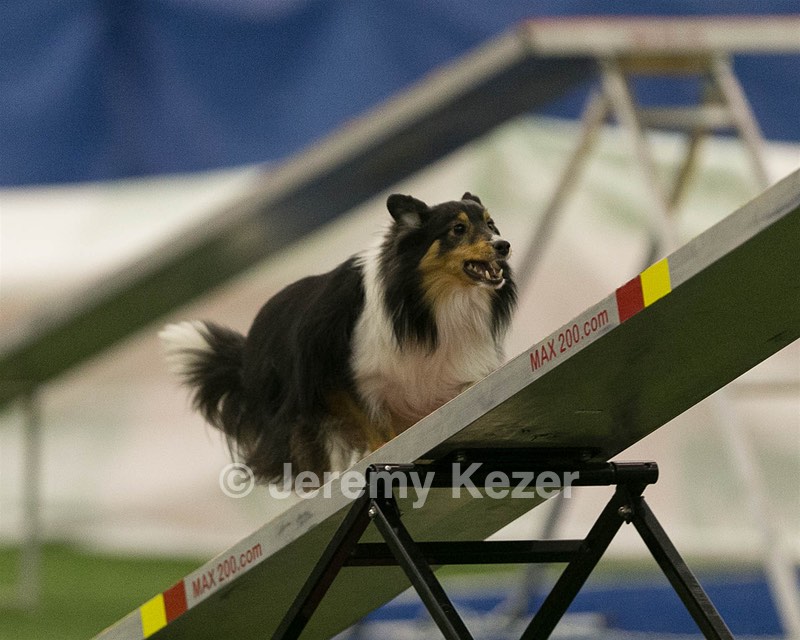 20150321-LEAP-1576.jpg