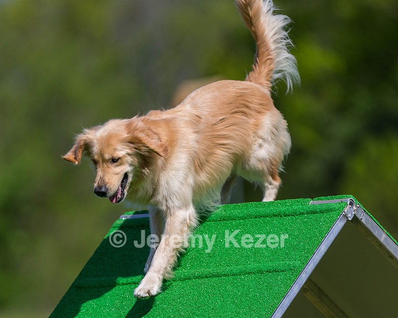Ollie Erbe