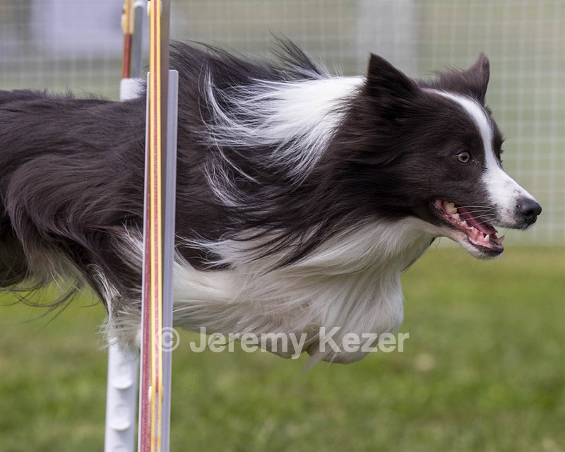 20230916-PVKC-2048.jpg