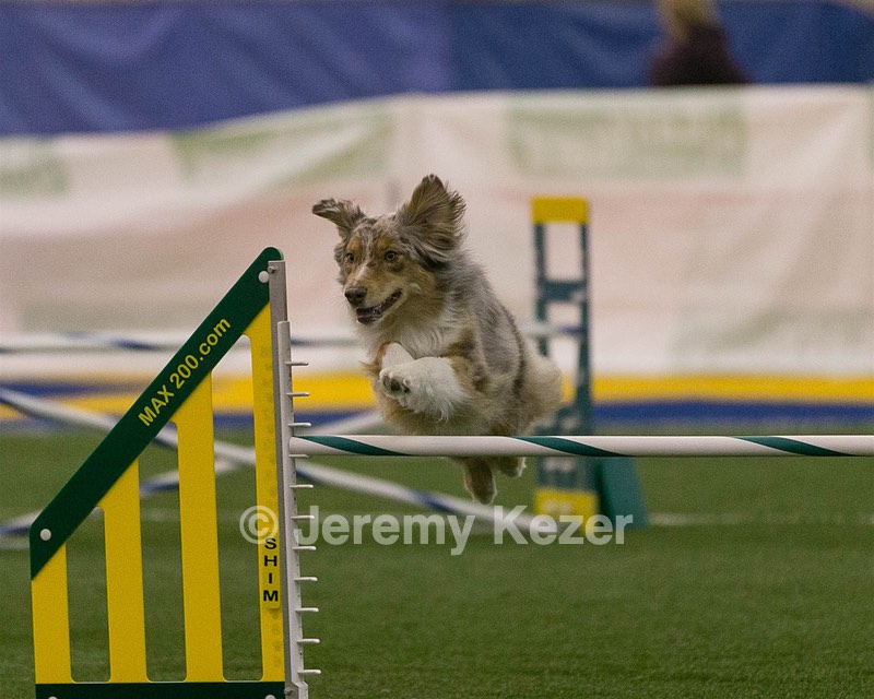 20150321-LEAP-0287.jpg