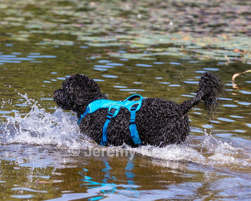 Fenwick Janet