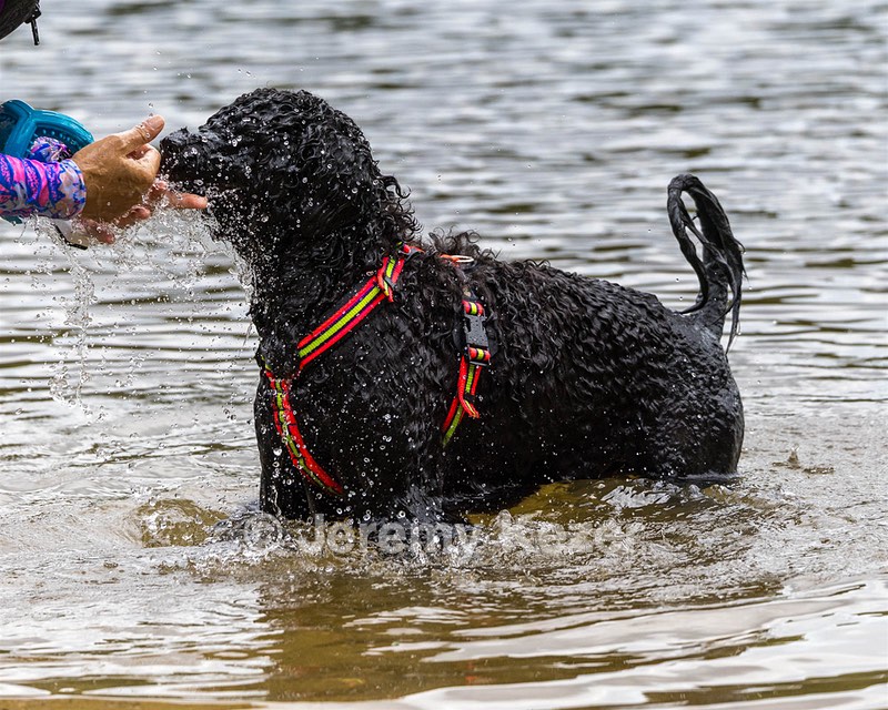 Ziva Hyres