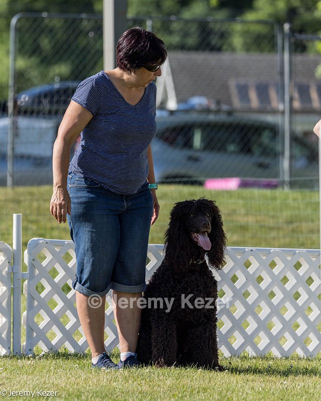 16 - GCH CH Chantico's Shelter From The Storm CD RA MX AXJ MXP2 MJP2 MJPB XF DS (Reef)
