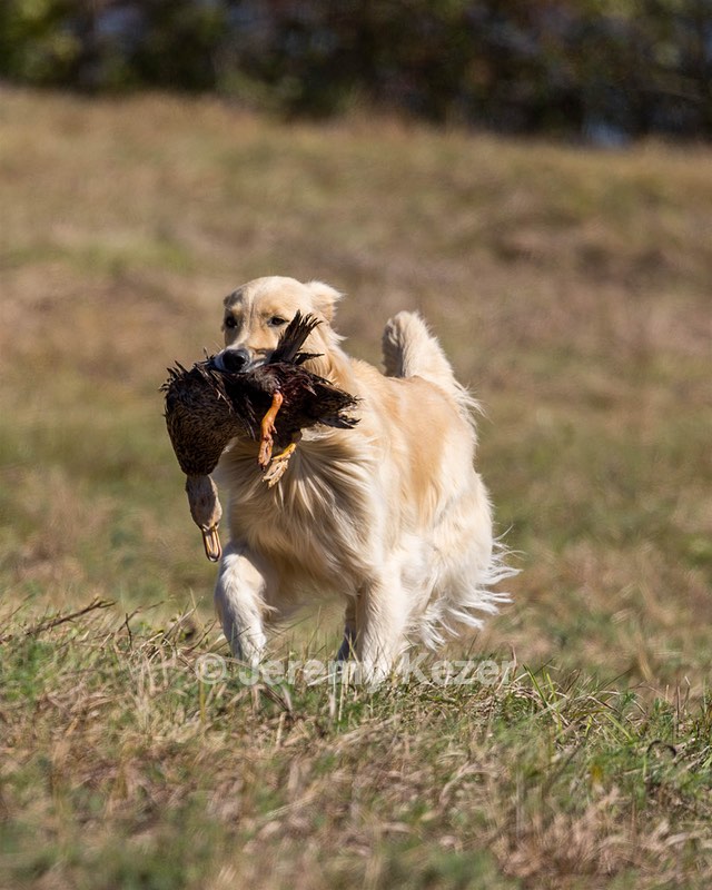 Miley Conrad