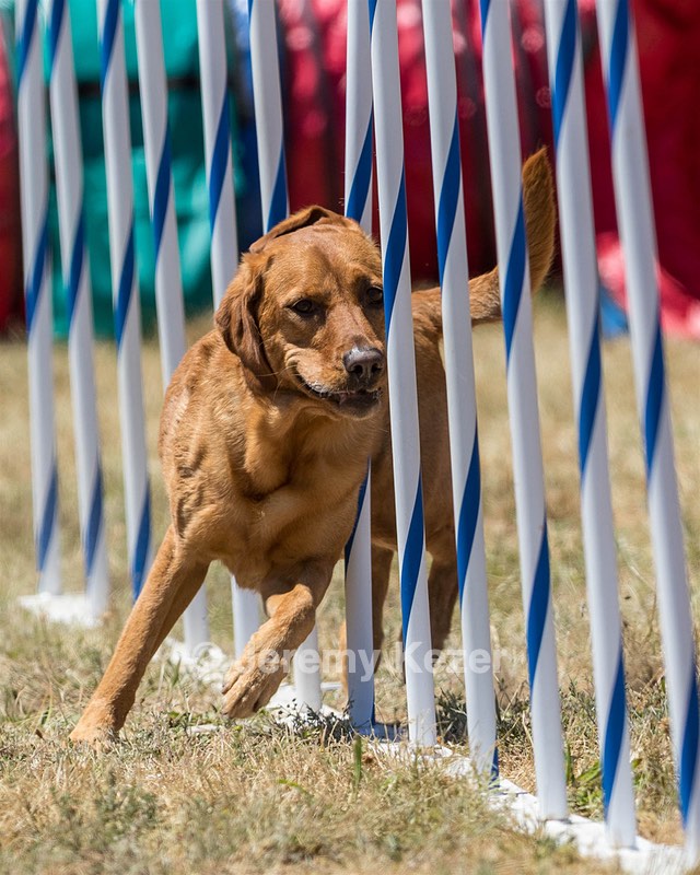 20160618-CCKC-1562.jpg