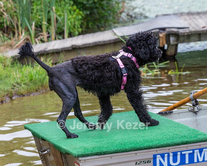 "Tessa" & Patty