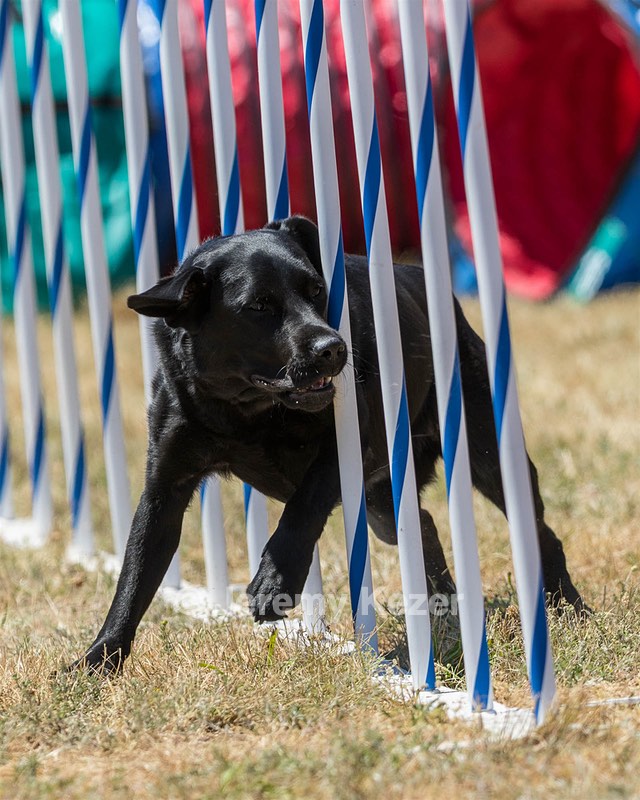 20160618-CCKC-1640.jpg