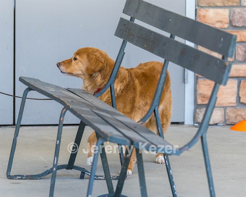 20250512-SCENT-0105.jpg