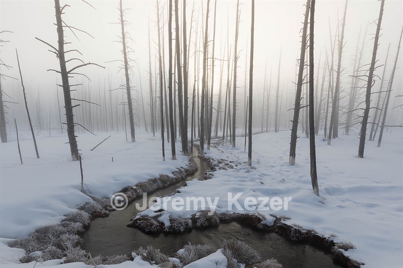 Yellowstone National Park, Montana
