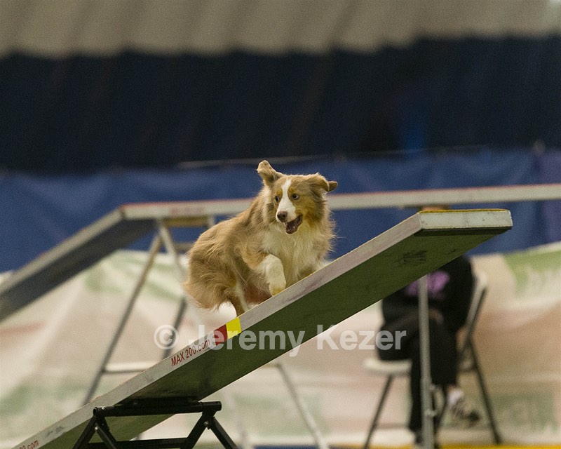 20150321-LEAP-1304.jpg