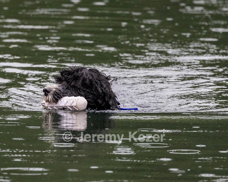 Windy Nottingham