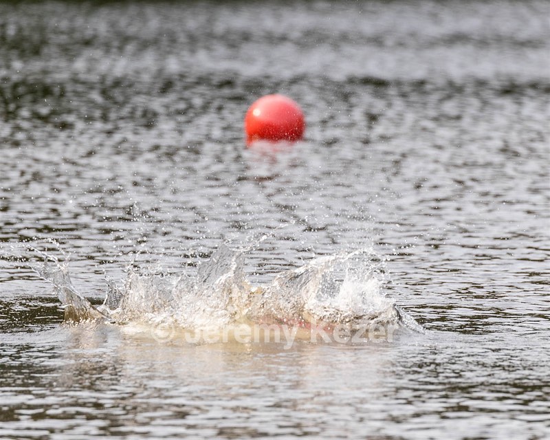 20210912-WWD-0161.jpg
