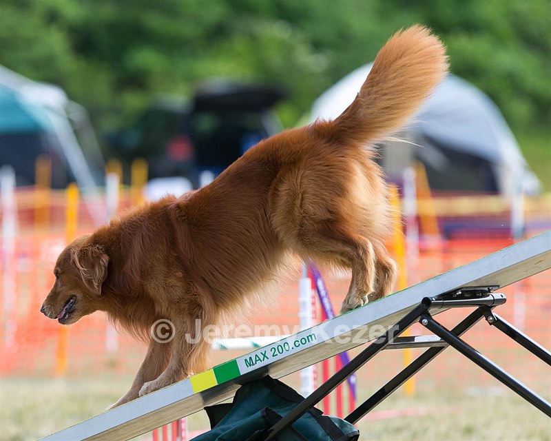 20150614-CCKC-0079.jpg