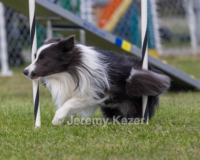 20230917-PVKC-2769.jpg