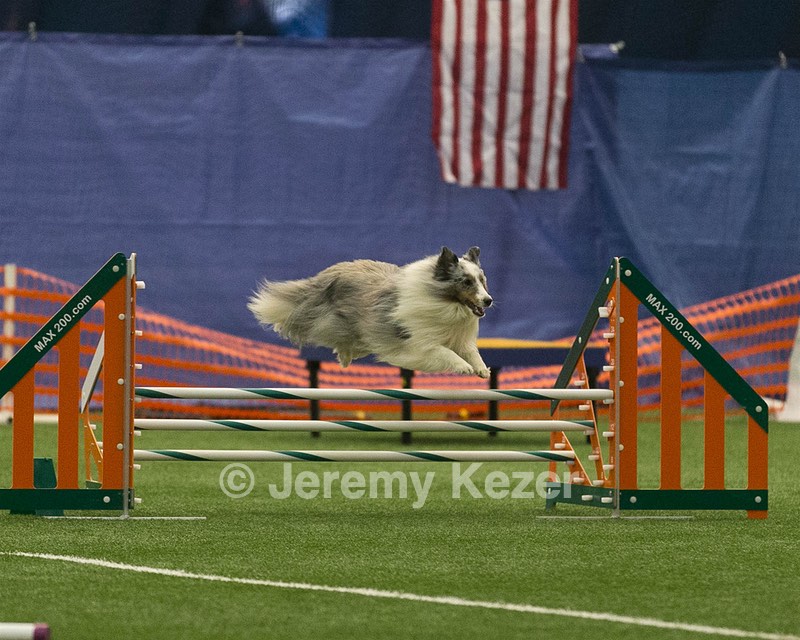 20150321-LEAP-1405.jpg
