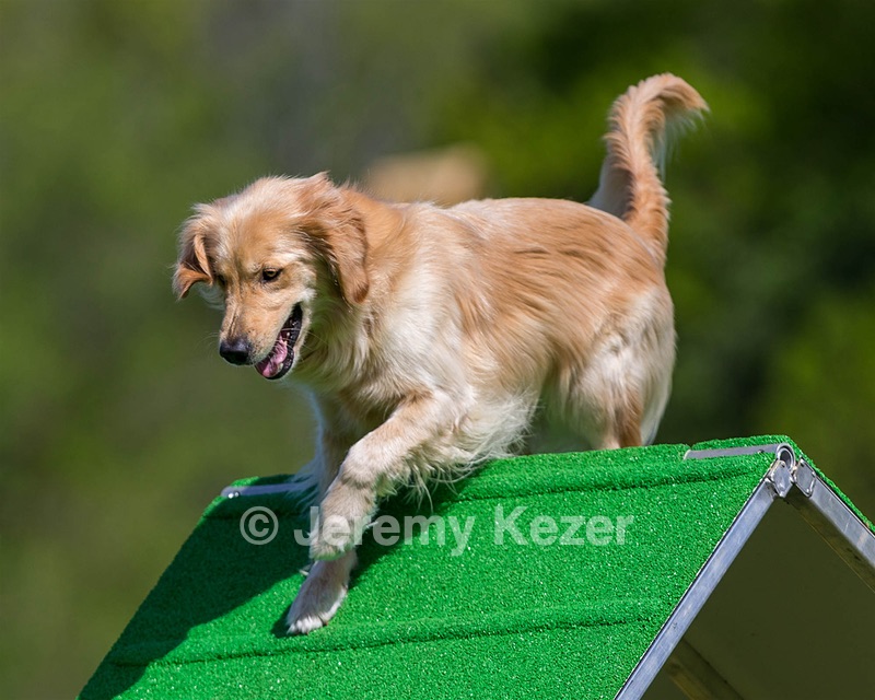 Ollie Erbe