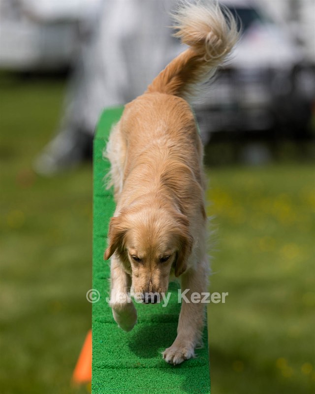 Ollie Erbe
