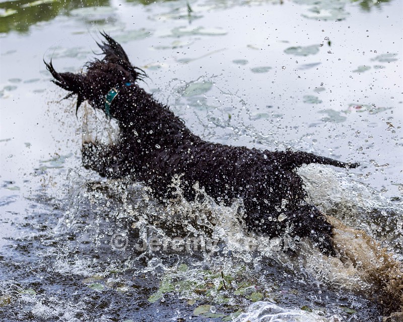 Ghillie Kezer