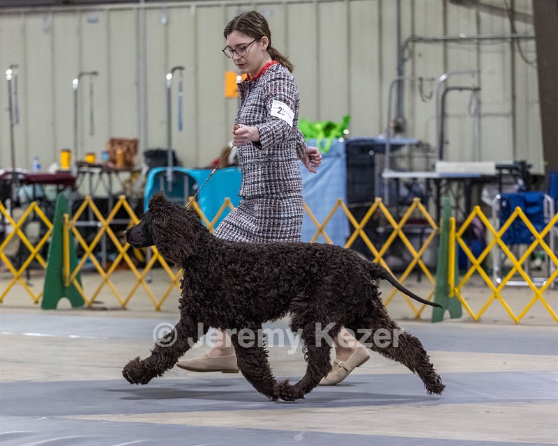 23 - CRISPIN'S I'LL LIGHT THE FIRE AT CASTLEHILL (Nash)