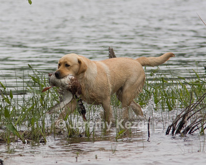 20080531-HRW-0392.jpg