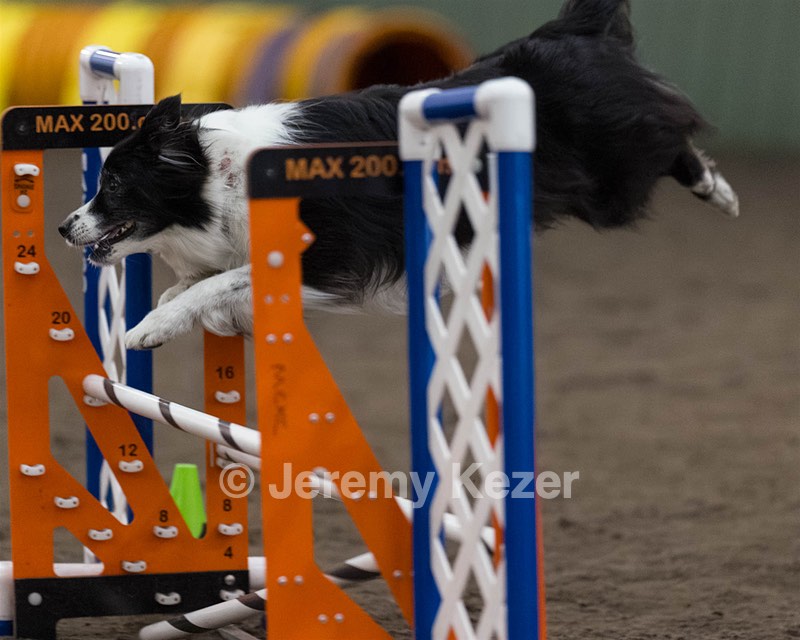 Breeze Schunk