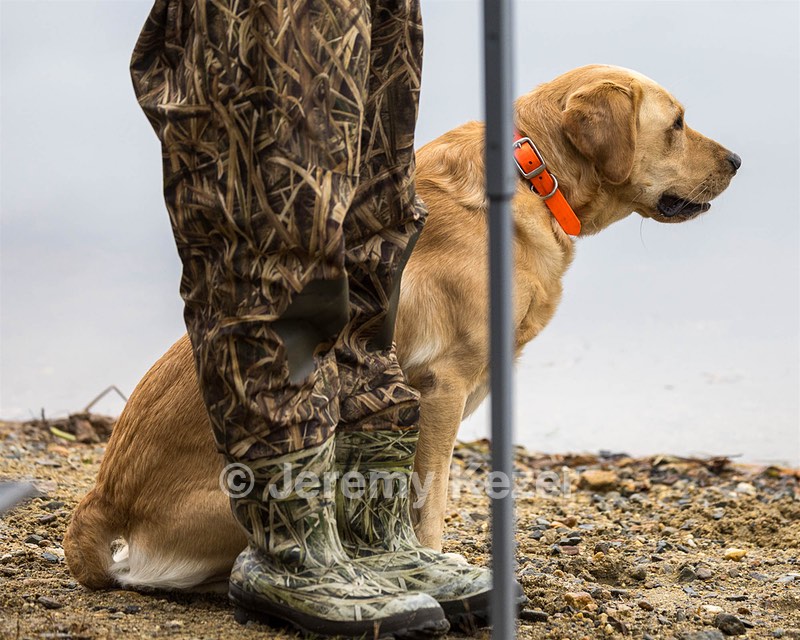 Fletcher Dubovy