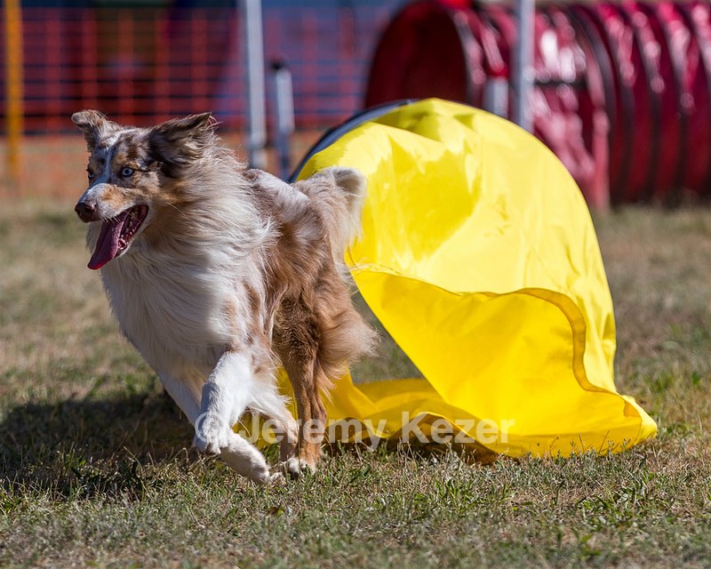 Keebler Derby