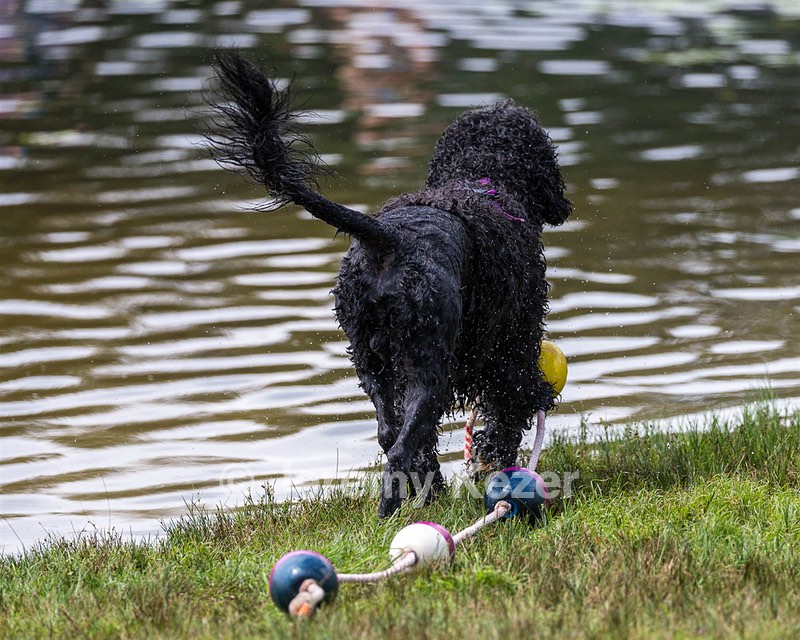 "Perry" & Diana