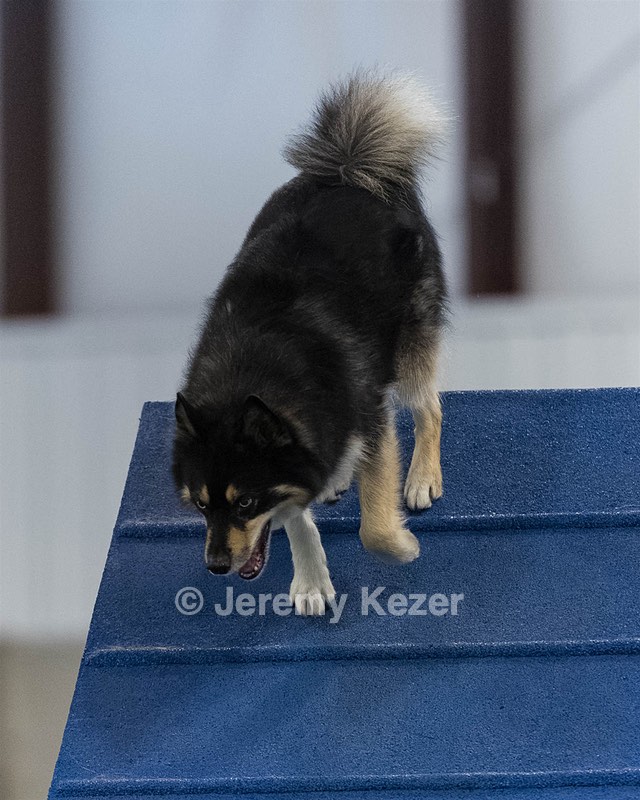 Bear Dubyoski