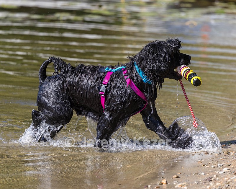 Penny Toby-Ann